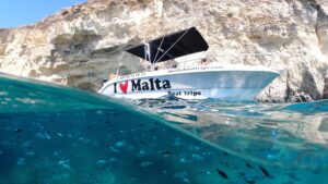 fish , comino boat charter