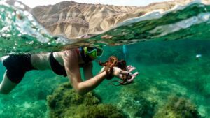 Vibrant marine life observed while snorkeling in Malta